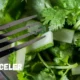pravi celer