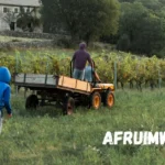 afruimwagens