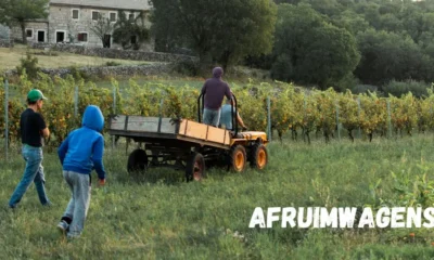 afruimwagens