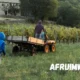 afruimwagens