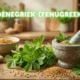 Foenegriek